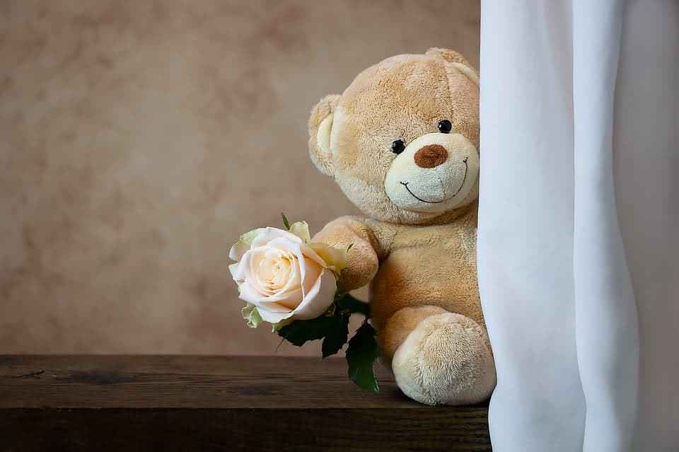 Valentine's Week Full List 2024: Rose Day, Kiss Day, Teddy Day, and Propose Day—ALL YOU NEED TO KNOW ABOUT 7 DAYS OF LOVE!!