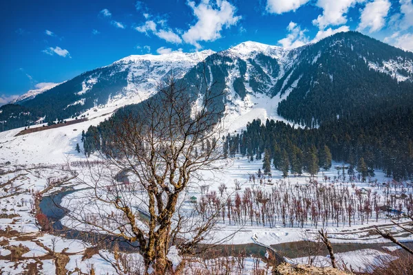 Kashmir, India
10 Best Places to Visit in April 2024: How to Reach Average. Budget