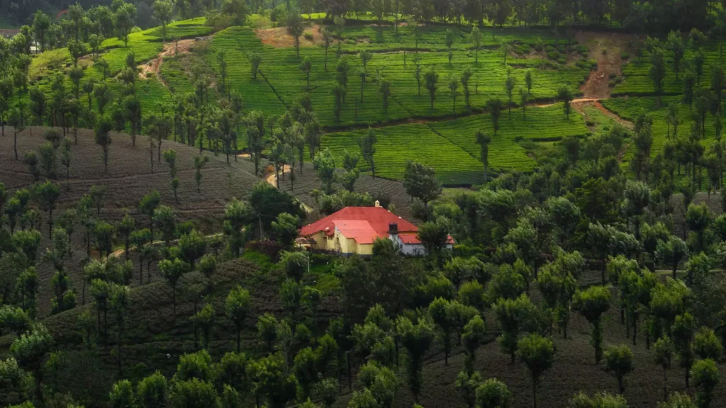 Valparai, Tamil Nadu